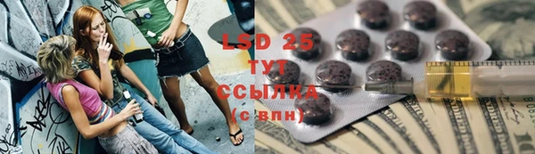 ПСИЛОЦИБИНОВЫЕ ГРИБЫ Бородино