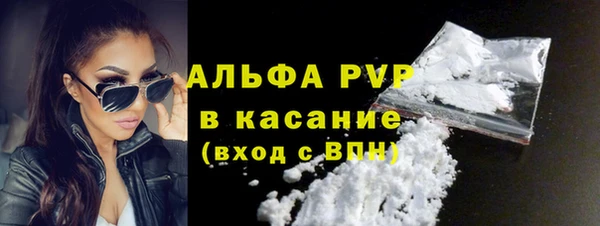ПСИЛОЦИБИНОВЫЕ ГРИБЫ Бородино