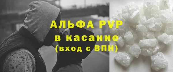 ПСИЛОЦИБИНОВЫЕ ГРИБЫ Бородино