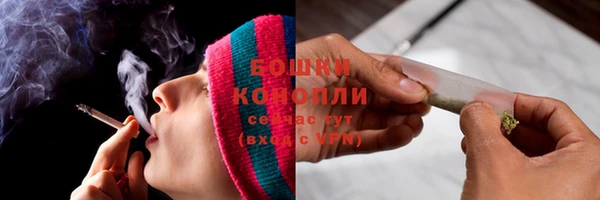 спиды Богородицк