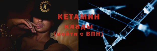 ПСИЛОЦИБИНОВЫЕ ГРИБЫ Бородино