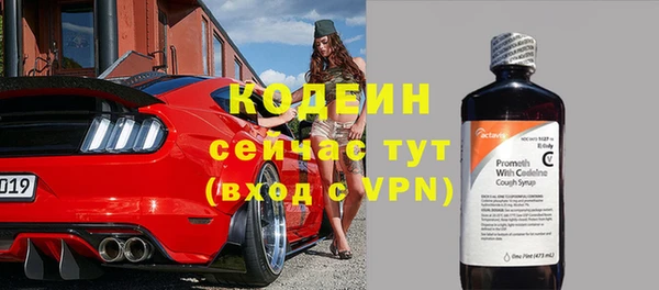 ПСИЛОЦИБИНОВЫЕ ГРИБЫ Бородино