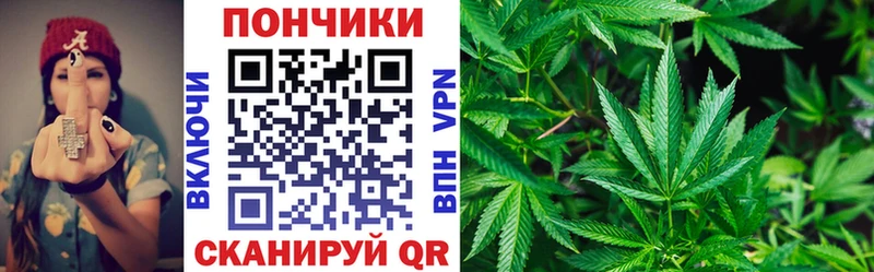Канабис THC 21%  купить закладку  Грозный 